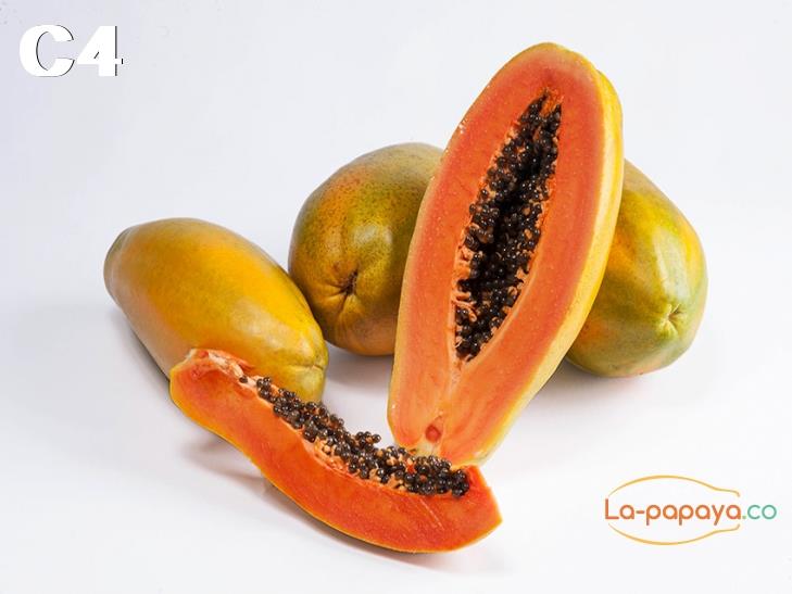 Papaya nutrientes