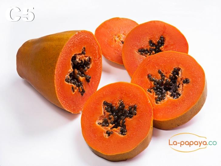 Papaya fruta